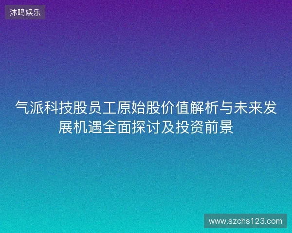 气派科技股员工原始股价值解析与未来发展机遇全面探讨及投资前景