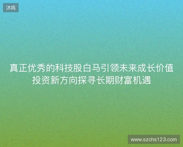真正优秀的科技股白马引领未来成长价值投资新方向探寻长期财富机遇